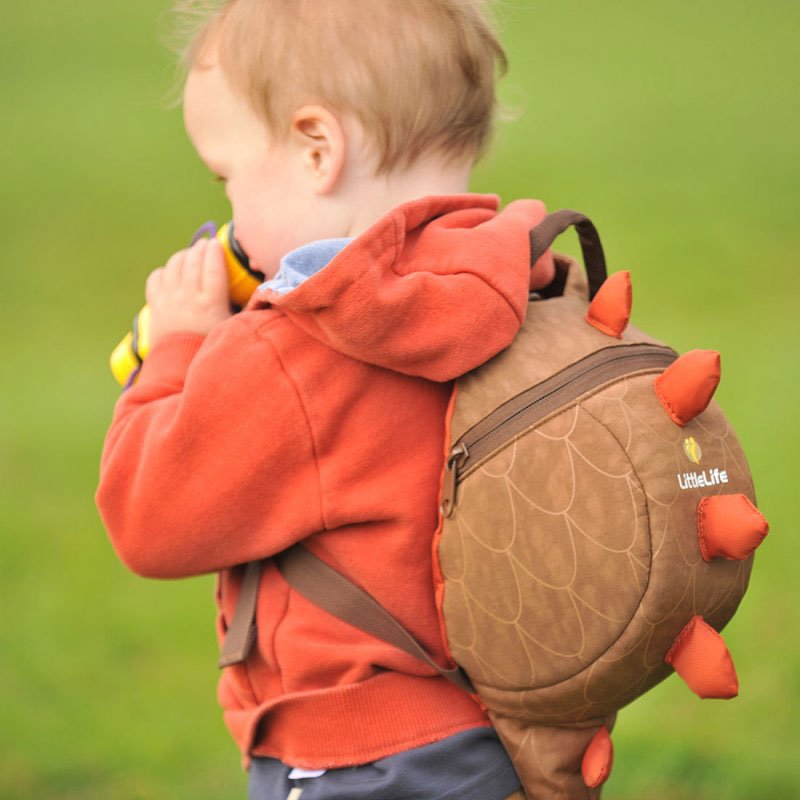 Littlelife best sale dinosaur backpack