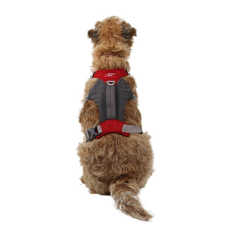 Mountain Paws Dog Hiking Harness